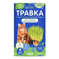 FOUR WITH A TAIL® GRASS FOR CATS AND OTHER PETS